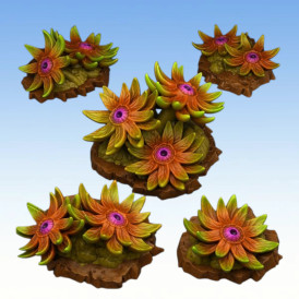 Fantastic Plants & Rocks – Mystic eye Flowers 