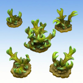 Fantastic Plants & Rocks – Dangerous Claw Plants 