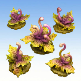 Fantastic Plants & Rocks – Carnivorous Tentacle Plants 