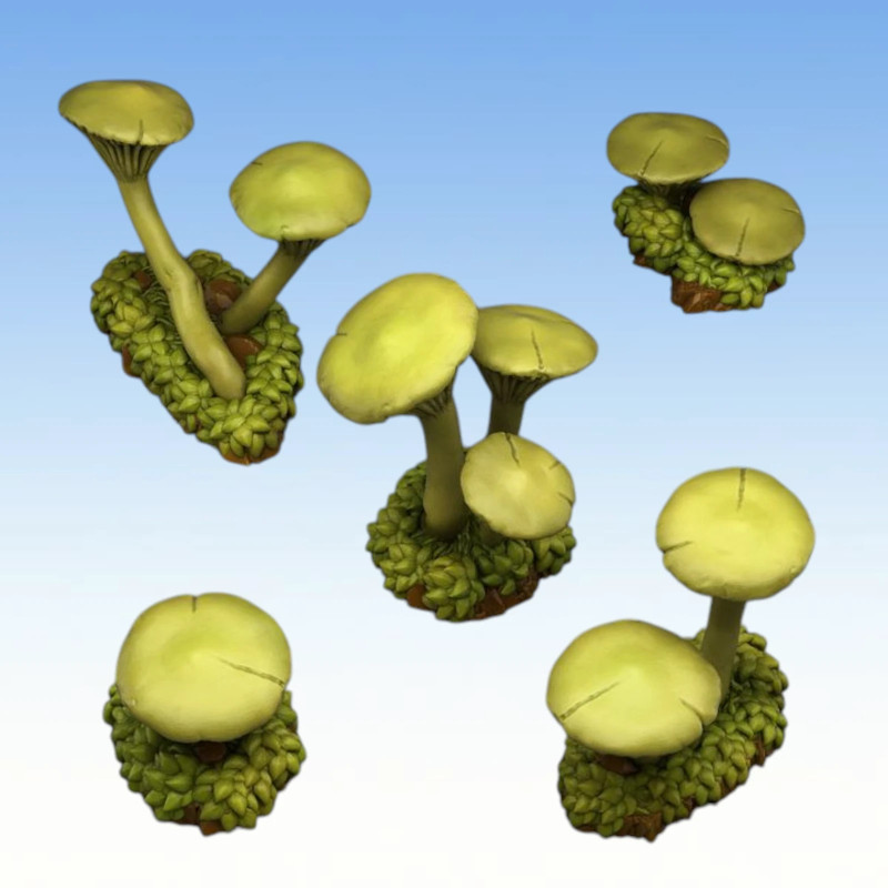 Fantastic Plants & Rocks – Toxic Mushrooms 