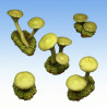 Fantastic Plants & Rocks – Toxic Mushrooms 