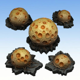 Fantastic Plants & Rocks - Poisonous Venus Balls 