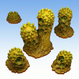 Fantastic Plants & Rocks – Aberation Cactus 