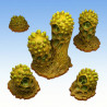 Fantastic Plants & Rocks – Aberation Cactus 