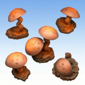 Fantastic Plants & Rocks – Cursed Mushrooms 