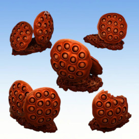 Fantastic Plants & Rocks – Corrupted Eyed Mushrooms 
