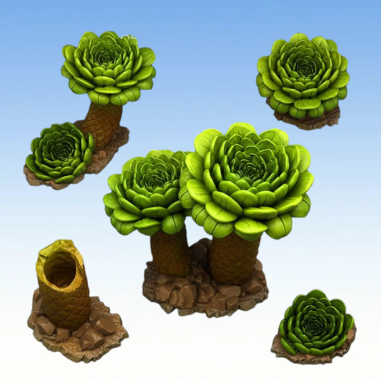 Fantastic Plants & Rocks – Island Flowers 