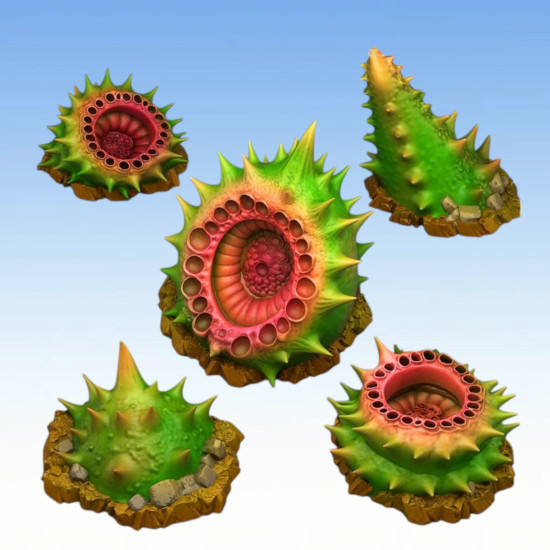 Fantastic Plants & Rocks – Carnivorous Husk Spikes 