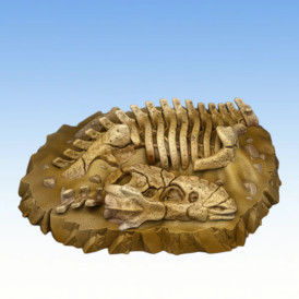 Fantastic Plants & Rocks – T-Rex Fossil 