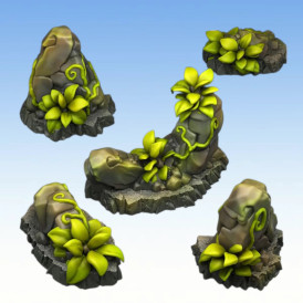 Fantastic Plants & Rocks – Tropical rocks 