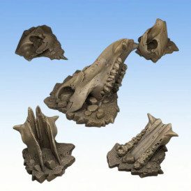 Fantastic Plants & Rocks – Old Creature Bones 