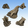Fantastic Plants & Rocks – Old Creature Bones 