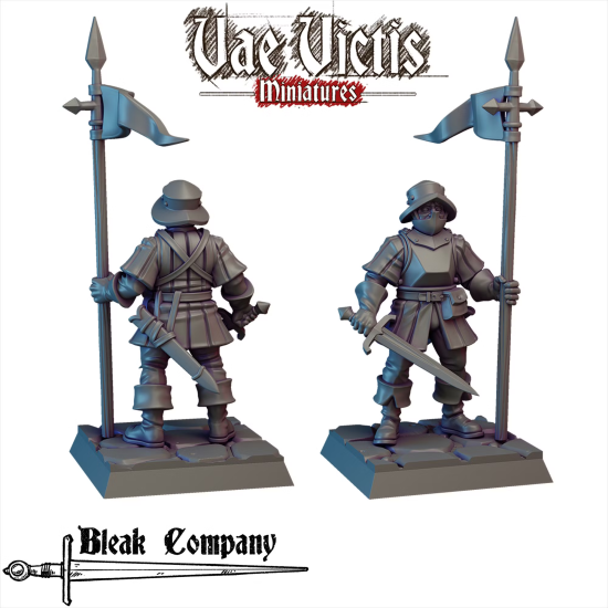 Vae Victis -  