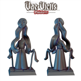 Vae Victis -  