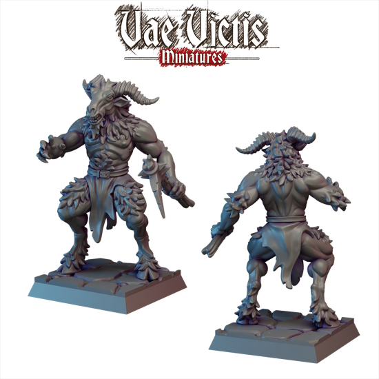 Vae Victis -  