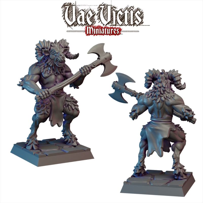 Vae Victis -  