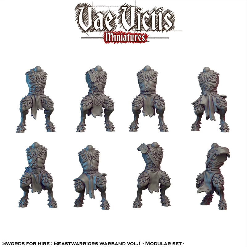Vae Victis -  