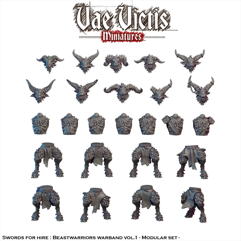 Vae Victis -  