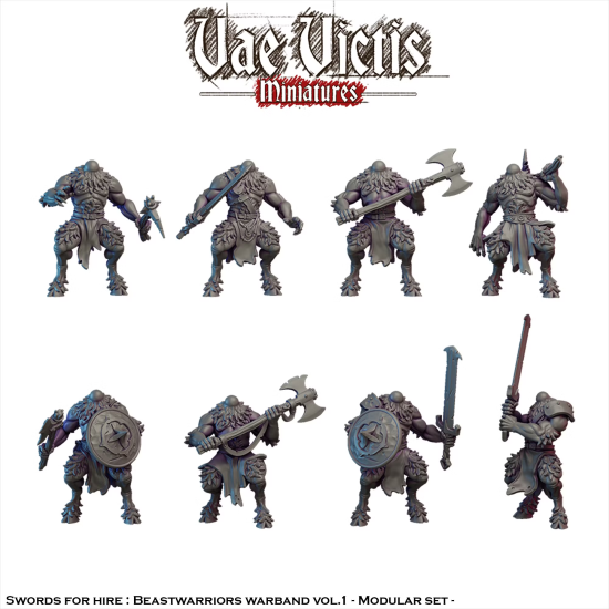 Vae Victis -  