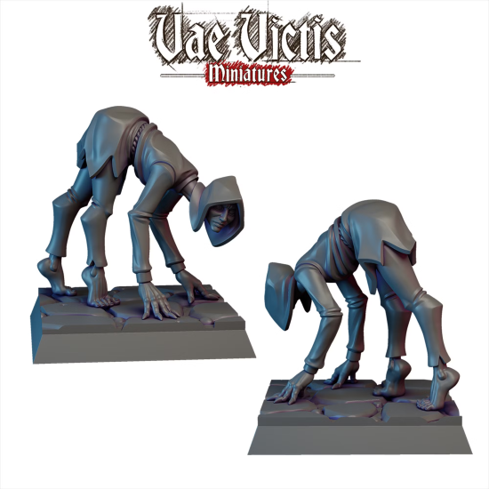 Vae Victis - Familier du chaos   