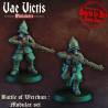 Vae Victis -  