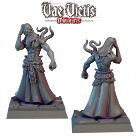 Vae Victis - Sorcier du chaos   