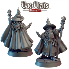 Vae Victis - Sorcier gris  
