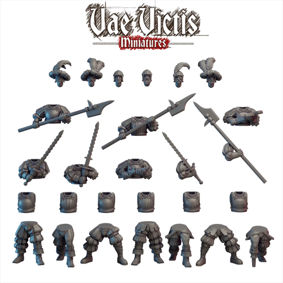 Vae Victis - Régiment d'élite de l'empire vol 2     