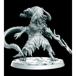 Figurine 28mm pour jeux re rôle, wargame,  Impréssion 3D résine Dracowarrior