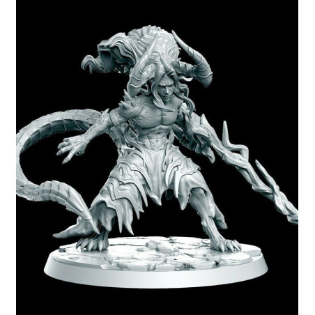 Figurine 28mm pour jeux re rôle, wargame,  Impréssion 3D résine Dracowarrior