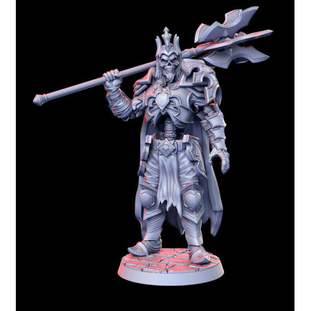 Figurines pour jeux de rôle, Wargame Impréssion 3D résine. Lords of Destruction