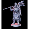 Figurines pour jeux de rôle, Wargame Impréssion 3D résine. Lords of Destruction