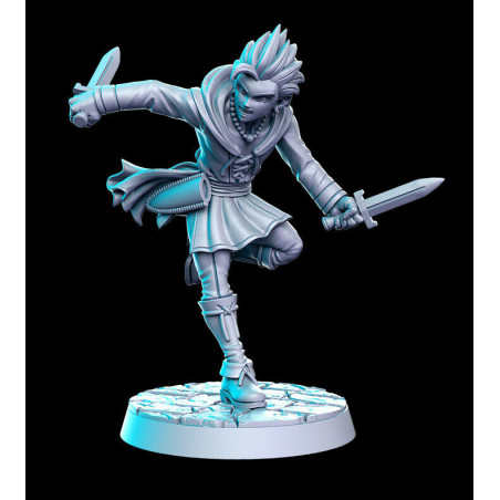 Figurines pour jeux de rôle, Wargame Impréssion 3D résine. Classic RPG Vol 3