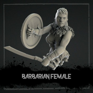 Bust in resin size 10cm- Female barbarian