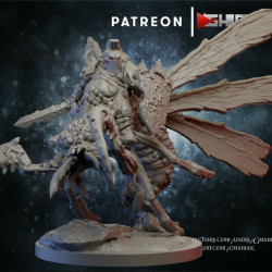 Ghamak - Chaos pest fly 2   (2)
