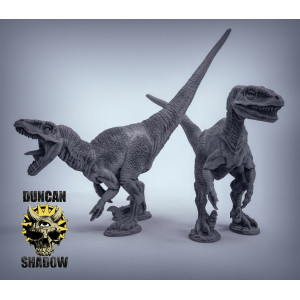 Impression 3D figurines jeux de rôle D&D, Saga, 9th Age, Velociraptors