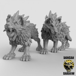 Duncan Shadow - Dire Wolves   (2)
