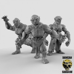Duncan Shadow - Ghouls   (2)