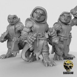 Duncan Shadow -  Owl folk with weapons   (2)