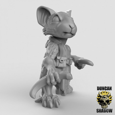 Figurines Anthropomorphes Duncan Shadow – Impression 3D pour Wargames et Jeux de Rôle
