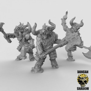 Impression 3D figurines jeux de rôle D&D, Saga, 9th Age, Beast Lords