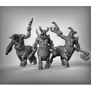Impression 3D figurines jeux de rôle D&D, Saga, 9th Age, Chaos Centaurs