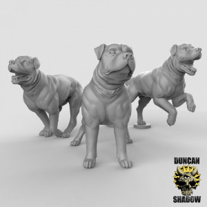 Impression 3D figurines jeux de rôle D&D, Saga, 9th Age, Dogs
