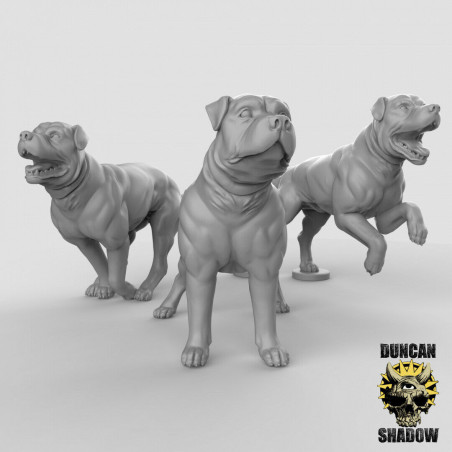 Figurines Animaux en impression 3D – Wargames, Jeux de Rôle & Modélisme
