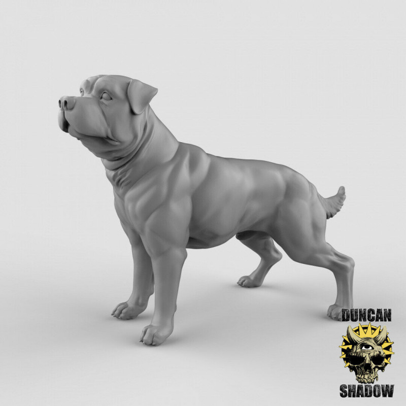 Figurines Animaux en impression 3D – Wargames, Jeux de Rôle & Modélisme
