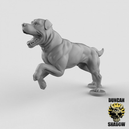 Figurines Animaux en impression 3D – Wargames, Jeux de Rôle & Modélisme
