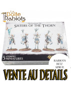 Rabiots Cavaliers Sauvages Elfes Sylvains – Warhammer The Old World | La Boîte à Rabiots