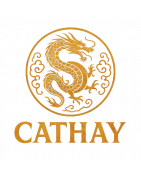 The Beholder Miniatures | Figurines en résine 28/32 mm pour wargames