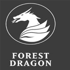 Forest dragon-Hauts elfes