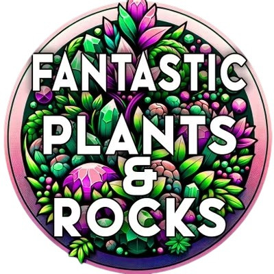 Fantastic Plants &  Rocks